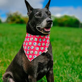 Animal Mahjong Reversible Bandana