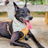 Watercolor Morning Flowers Reversible Bandana