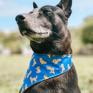 Golden Retriever Reversible Bandana