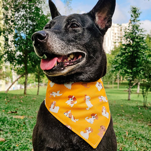 ShihTzu Reversible Bandana