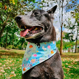 Marine V2 Reversible Bandana