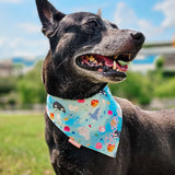 Marine V2 Reversible Bandana