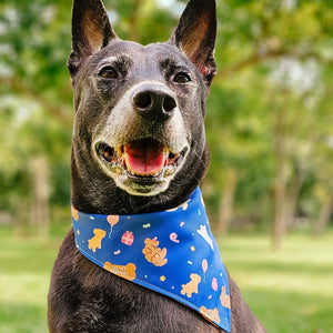 Bark Day!(Blue) Reversible Bandana