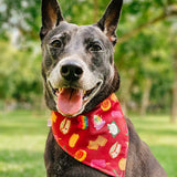 Animal Snacks (Maroon) Reversible Bandana