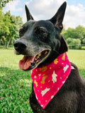 Bark Day!(Pink) Reversible Bandana