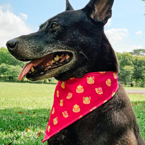 Cat Gem Biscuits Reversible Bandana (Pink)