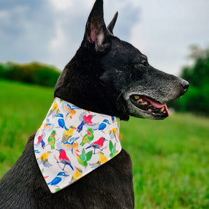 Birds of Singapore Reversible Bandana