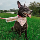 Wolfy Coffee Reversible Bandana