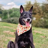 Doxie puppers Reversible Bandana