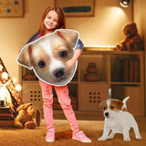 Personalized 3D Photo Pillows: Custom Photo  Face Pillows of Pets