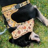 Fuji-san Autumn Reversible Bandana