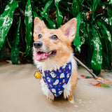 Halloween Ghost Reversible Bandana