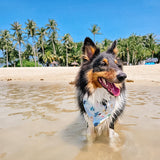 Marine Life Reversible Bandana