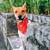 CNY Dragon (Orange) Reversible Bandana