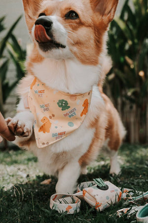 Do Not Pet Dino Reversible Bandana