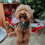 Santa Holiday (Green) Reversible Bandana