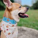 Beary Angry Reversible Bandana