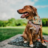 Camping Dogs Reversible Bandana