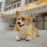 Corgi Reversible Bandana