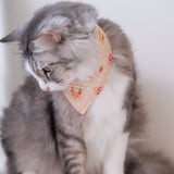 Cat Gem Biscuits Reversible Bandana (Beige)