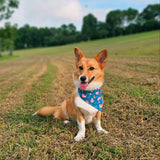 Axolotl Reversible Bandana