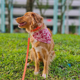 Batik on Clouds Reversible Bandana (large)