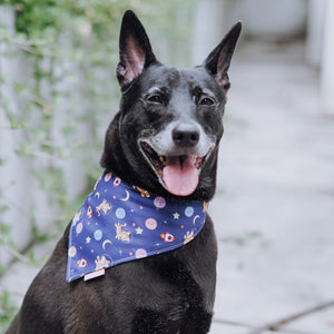 Space Corgi & Cats Reversible Bandana