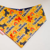 In Training Reversible Bandana