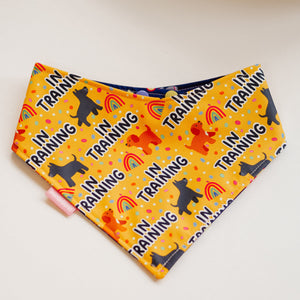 In Training Reversible Bandana