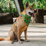 Nutcracker Reversible Bandana (Green)