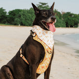 Watercolor Lil Brown Doggo Reversible Bandana