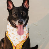 Watercolor Lil Brown Doggo Reversible Bandana