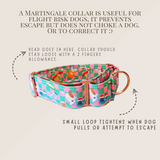 Martingale Collar 1.5"