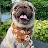 Pug Reversible Bandana