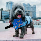 Bark Day!(Blue) Reversible Bandana