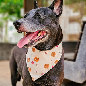 Beary Angry Reversible Bandana