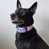 Martingale Collar 1.5"